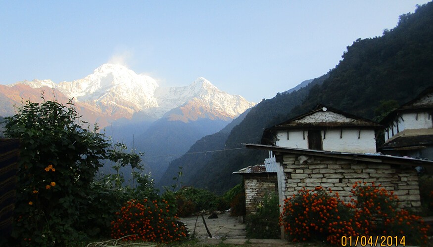 ABC-Poon hill Trek