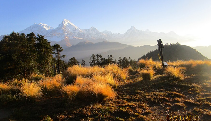 Mohare Danda Ghorepani Poon Hill Trek