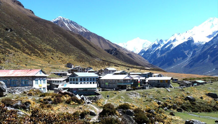 Langtang Valley Trek