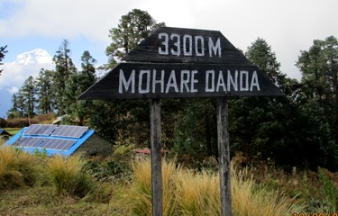 Mohare Danda Ghorepani Poon Hill Trek
